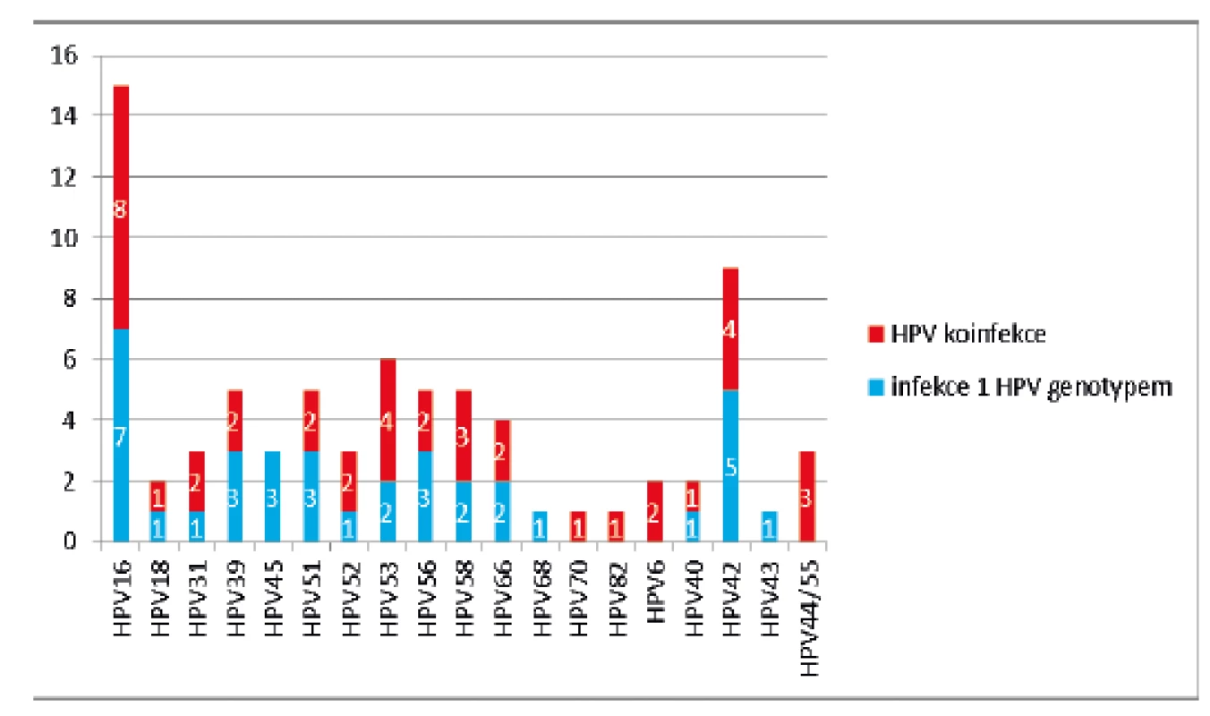 Zastoupení jednotlivých HPV genotypů u 49 HPV pozitivních vzorků (modře – počet případů infekce 1 HPV genotypem, červeně – počet případů HPV koinfekce)
