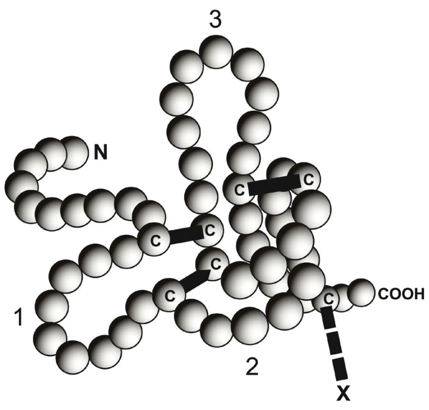 Znázornění jedné molekuly trifolátového peptidu (TFF).