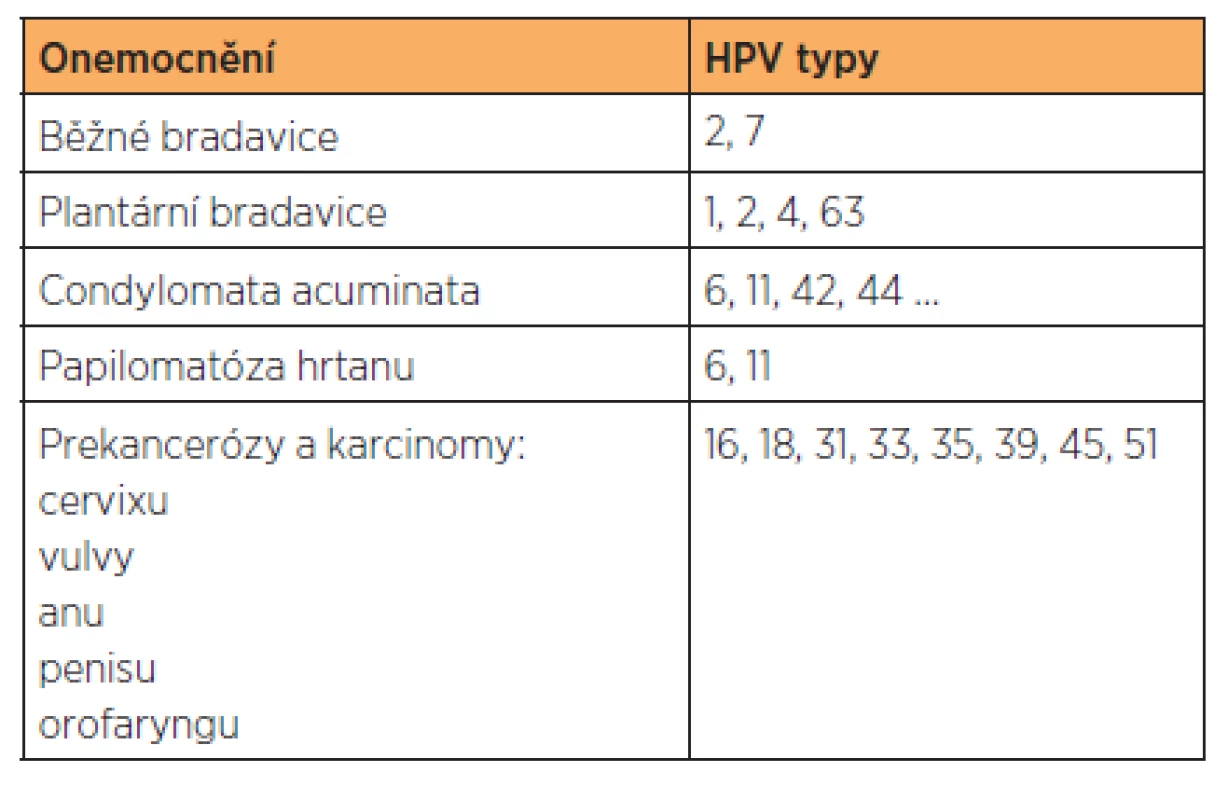 Přehled onemocnění způsobených HPV