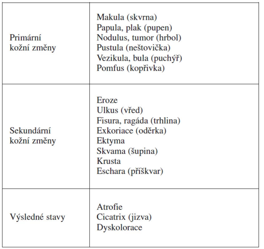 Terminologie kožních eflorescencí