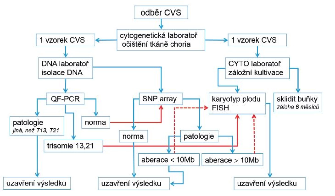Nové schéma vyšetření vzorků choriových klků (CVS) v laboratořích Gennet
