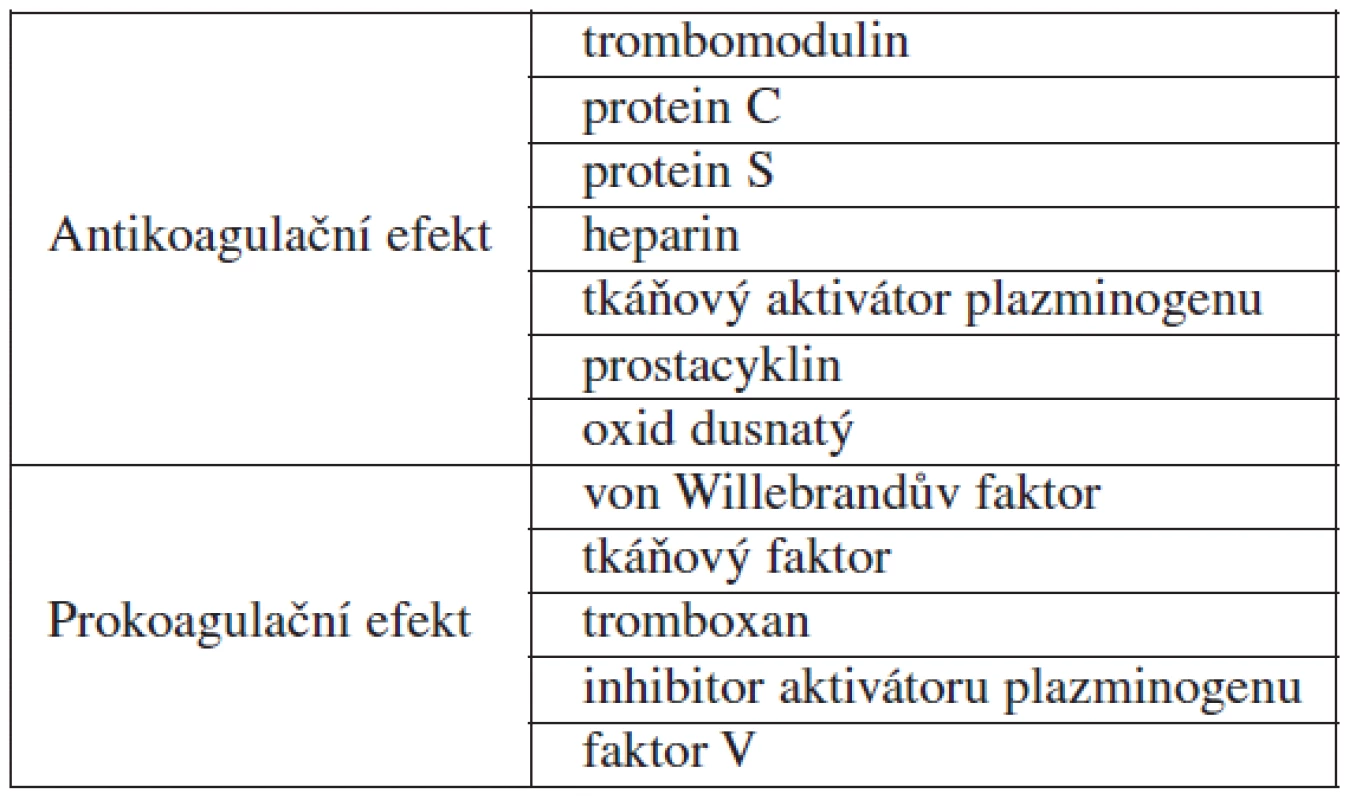 Produkty endotelových buněk