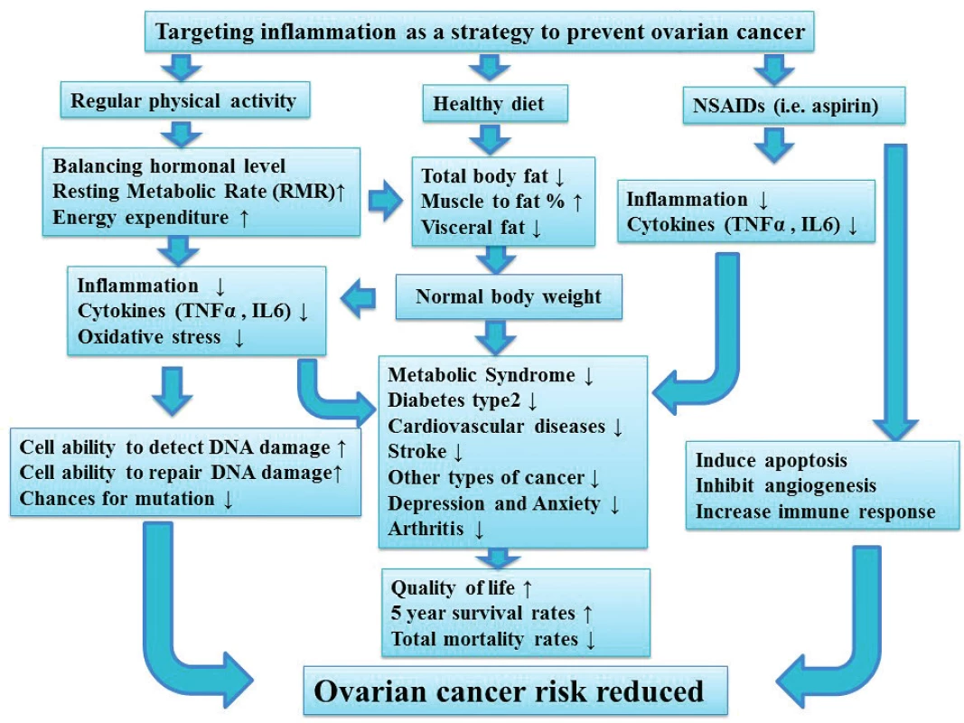 The importance of targeting inflammation on ovarian cancer risk <br> Regular physical activity, healthy diet and anti-inflammatory medications (i. Aspirin) are three important aspects to reduce inflammation, which has a significant impact on ovarian cancer risk. Maintaining normal weight is associated with a decrease in different types of cancer and other diseases including Diabetes type2, CVD, arthritis and stroke. Ultimately, this will improve quality of life and the five years survival rate. 