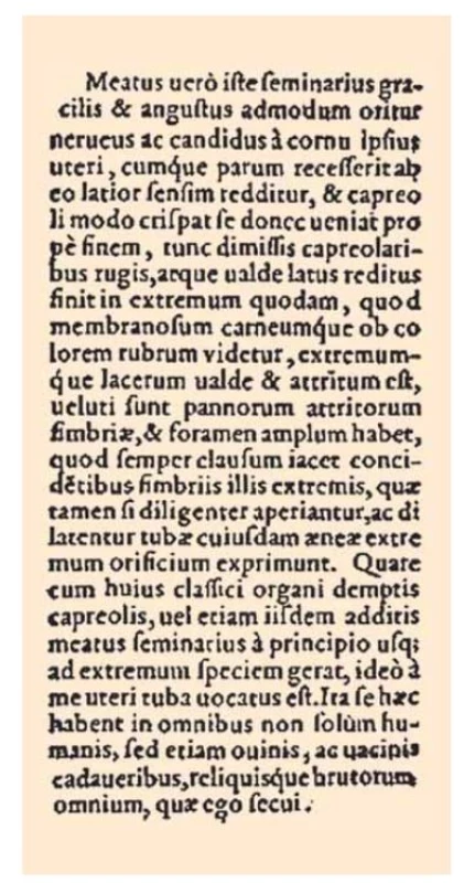 Falloppiov anatomický opis
vajíčkovodov (Observationes Anatomicae,
1561).<br>
Fig. 1. Fallopian anatomical description
of fallopian tubes (Observationes Anatomicae,
1561).