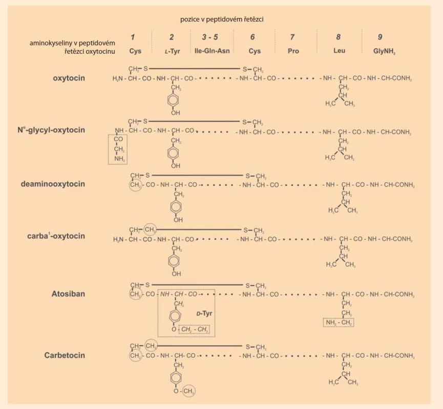 Modifikované pozice v molekule oxytocinu potenciálně vedoucí k prodlouženému biologickému účinku,
schematické zobrazení. Sekvence oxytocinu je naznačena v horním řádku, ve schematických vzorcích jsou neobměněné
pozice vyznačeny silnou tečkovanou čárou. Obměněné pozice jsou označeny tenkou přerušovanou čárou (kruhy
a čtyřúhelníky).