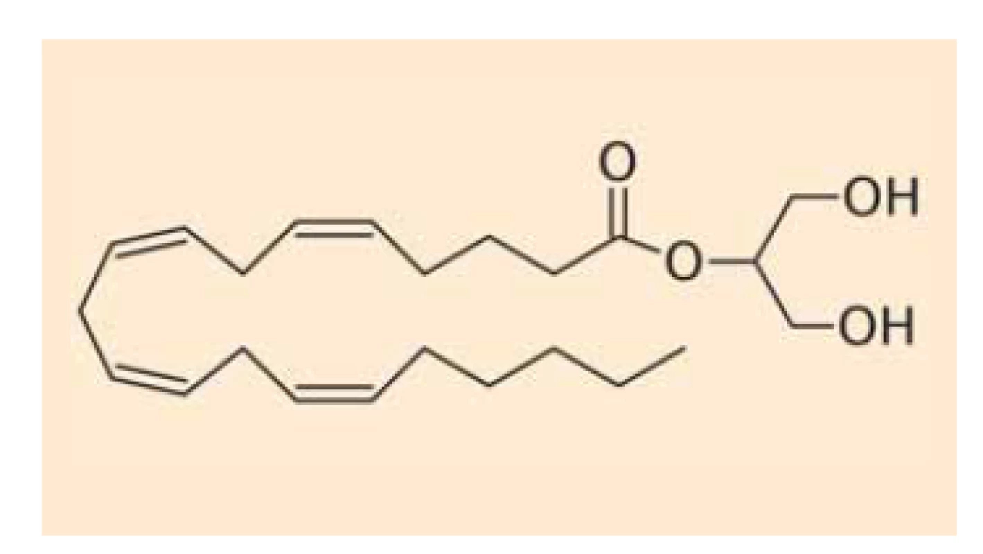 Chemická struktura
2-arachidoyl-glycerolu.<br>
Fig. 2. Chemical structure of
2-arachidoyl-glycerol.