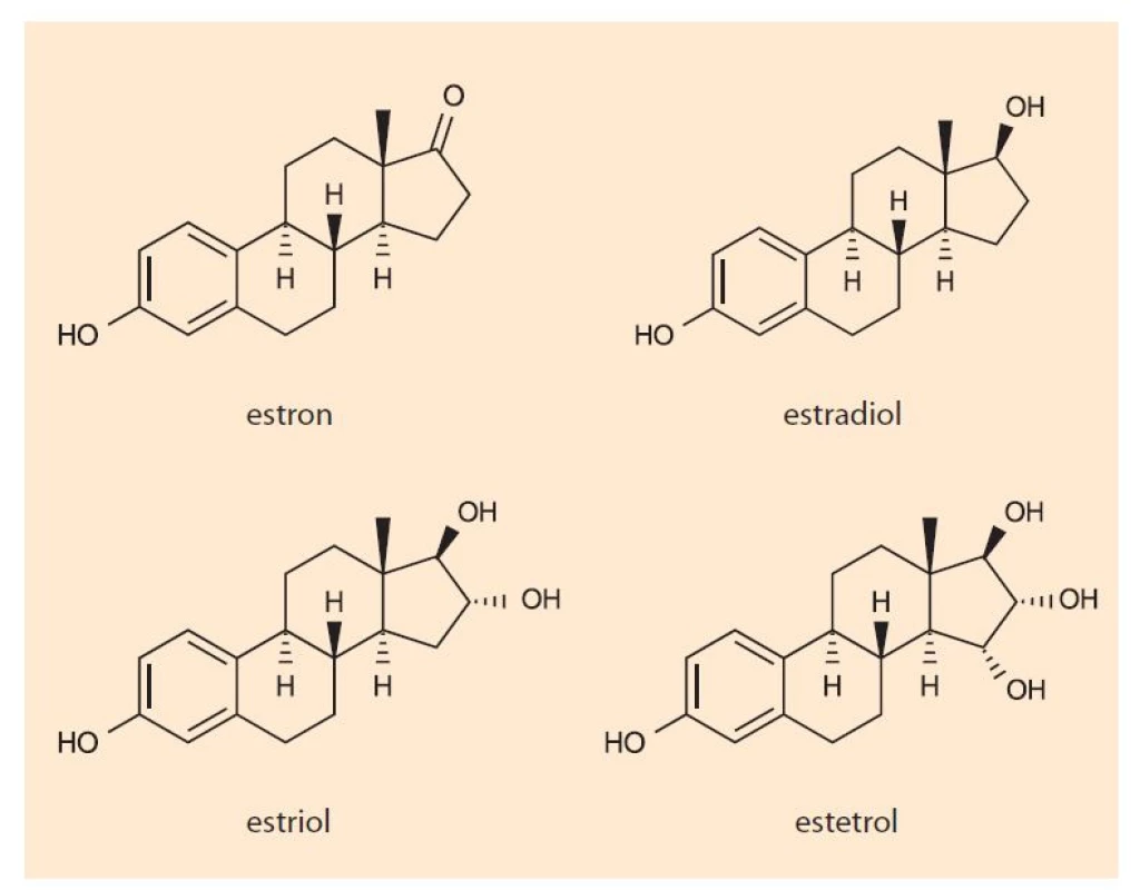 Chemická struktura estrogenů.<br>
Fig. 1. Chemical structure of estrogens.